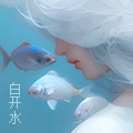 白开水头.jpg
