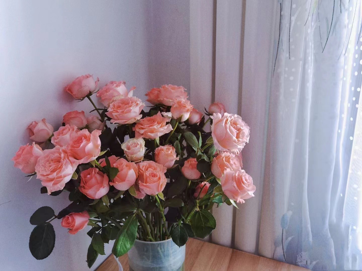 153721C0-4909-4EFC-A43A-347908C22E67.jpeg