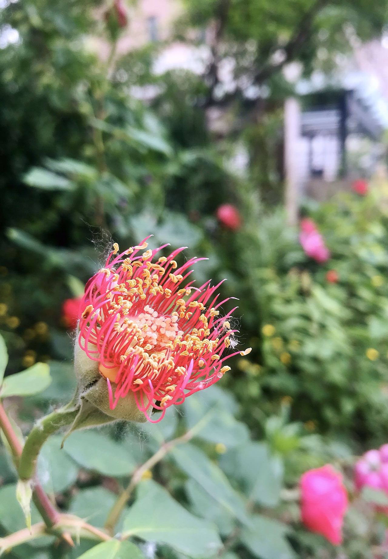 48EB4519-367B-473E-98BA-80BB870BD392.jpeg