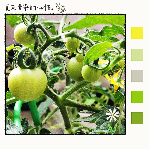 MTXX_MH20230516_083648026副本.jpg