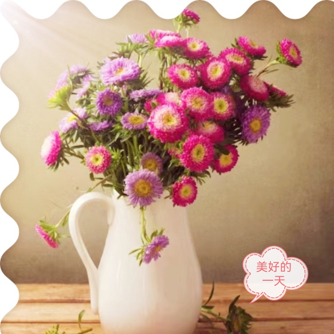 IMG_PITU_20230525_083342_edit_475947771709146.jpg