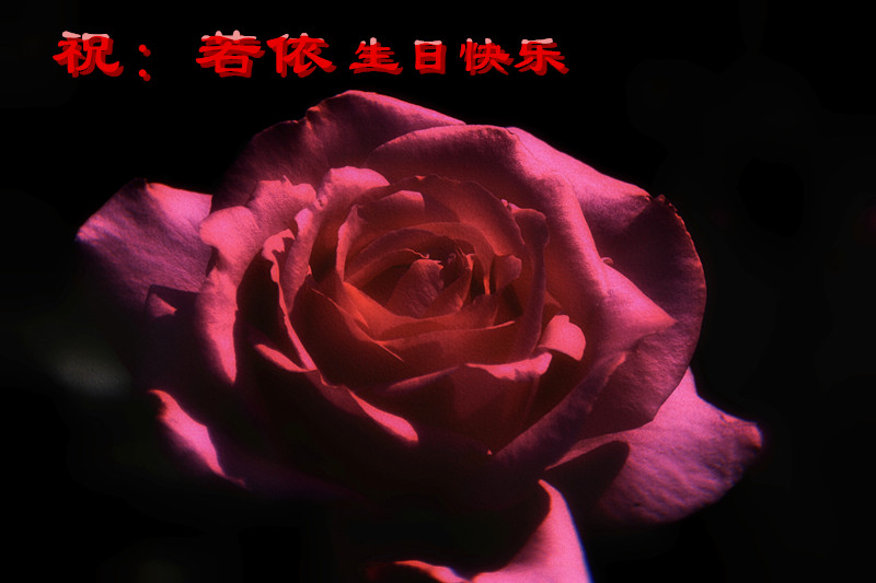 IMG_0248_副本.jpg