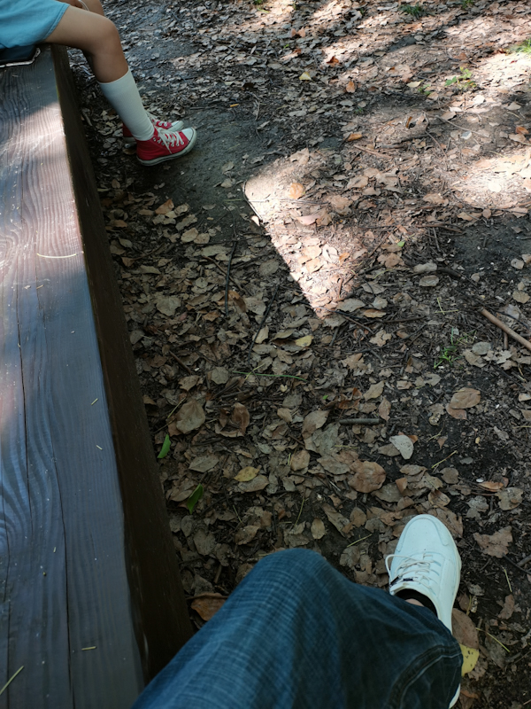 LRM_20230528_082728.jpg