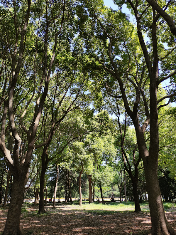 LRM_20230528_084753.jpg