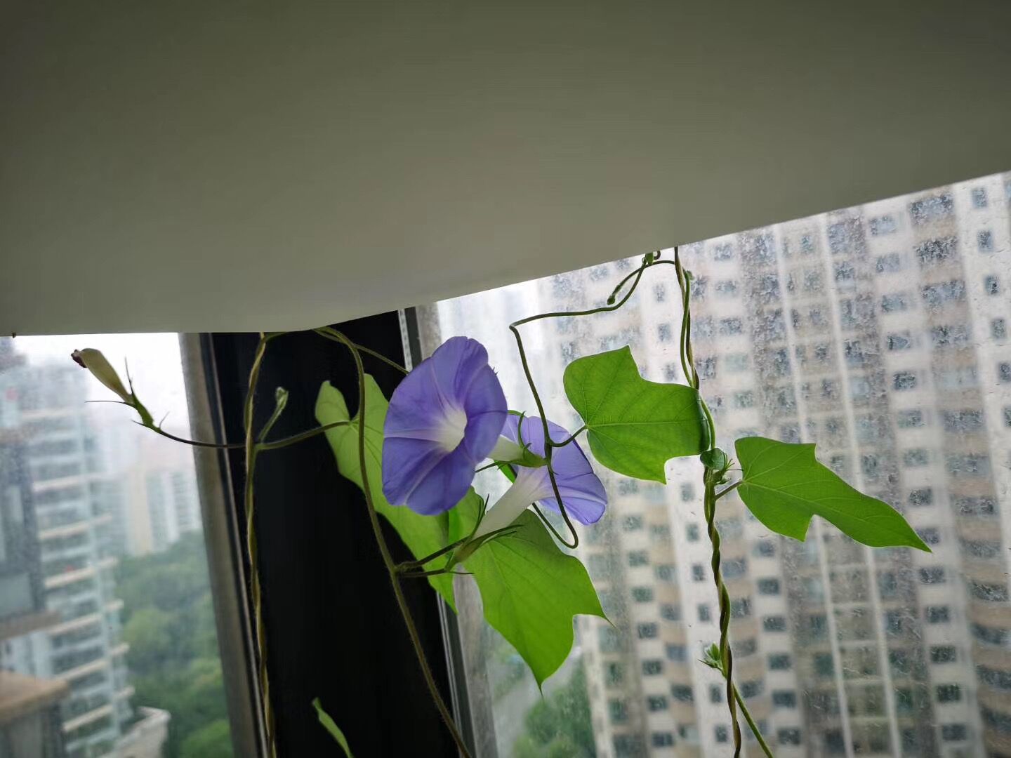 QQ图片20230528224907.jpg