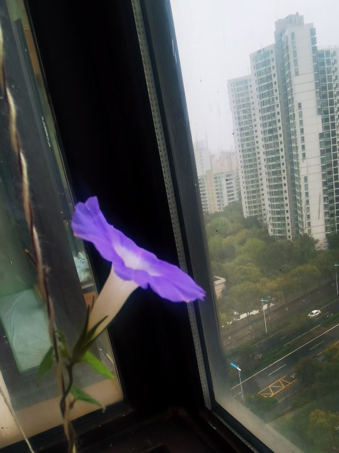 QQ图片20230528224935.jpg
