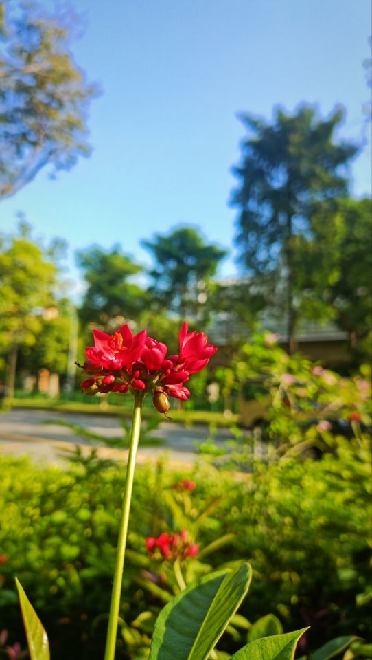 09.jpg