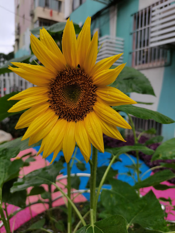 LRM_20230617_162236.jpg
