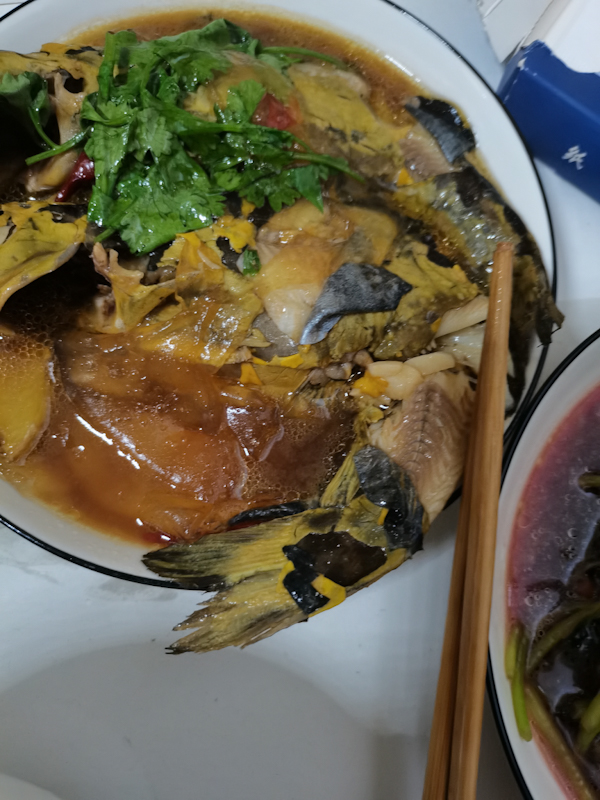 LRM_20230617_183453.jpg