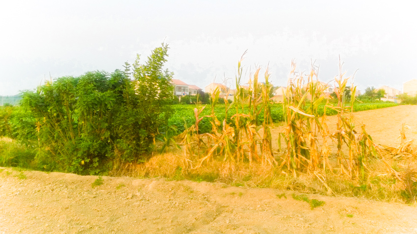 20190907_175509.jpg