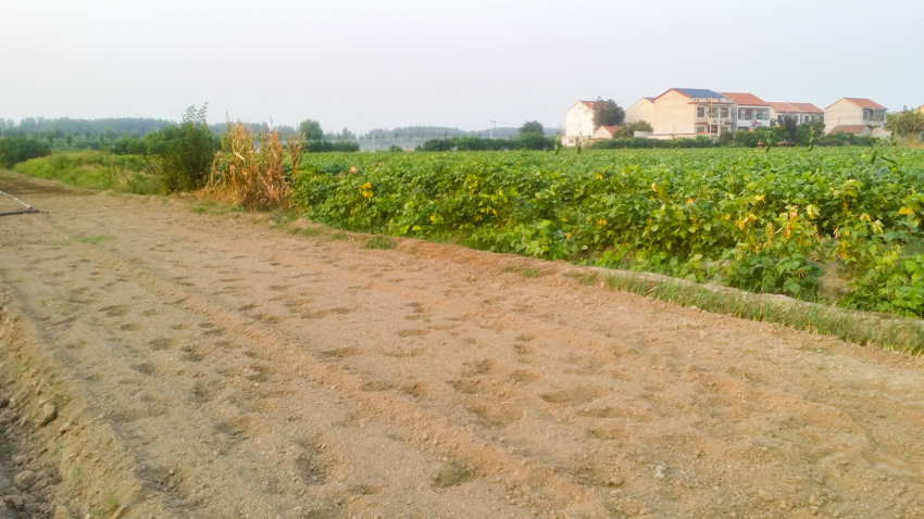 20190907_175603.jpg