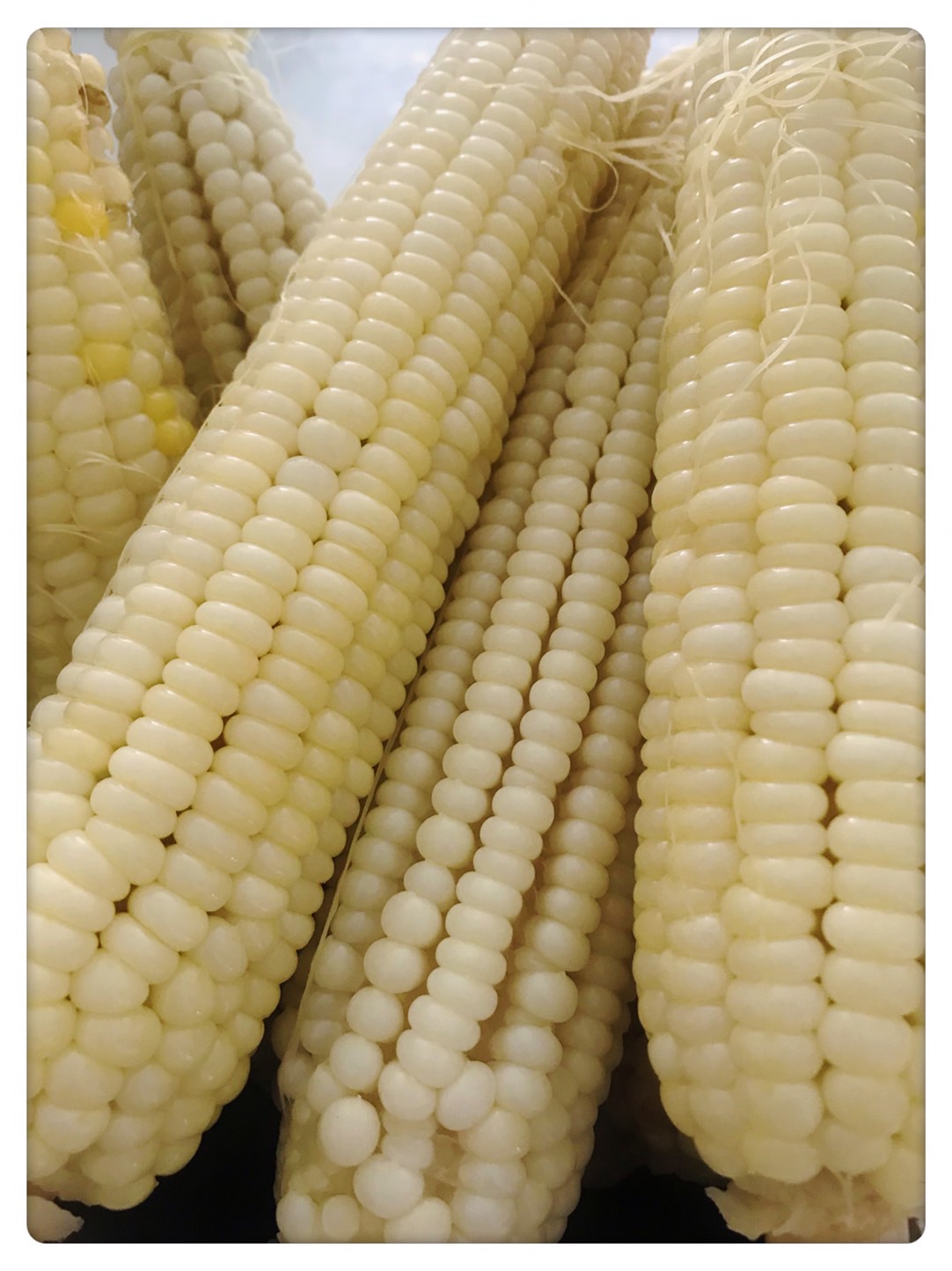 FC231FD8-09BD-4740-8D38-C99413BAABD0.jpeg