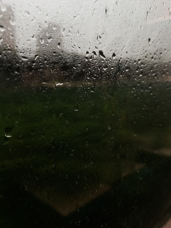 LRM_20230817_114637.jpg