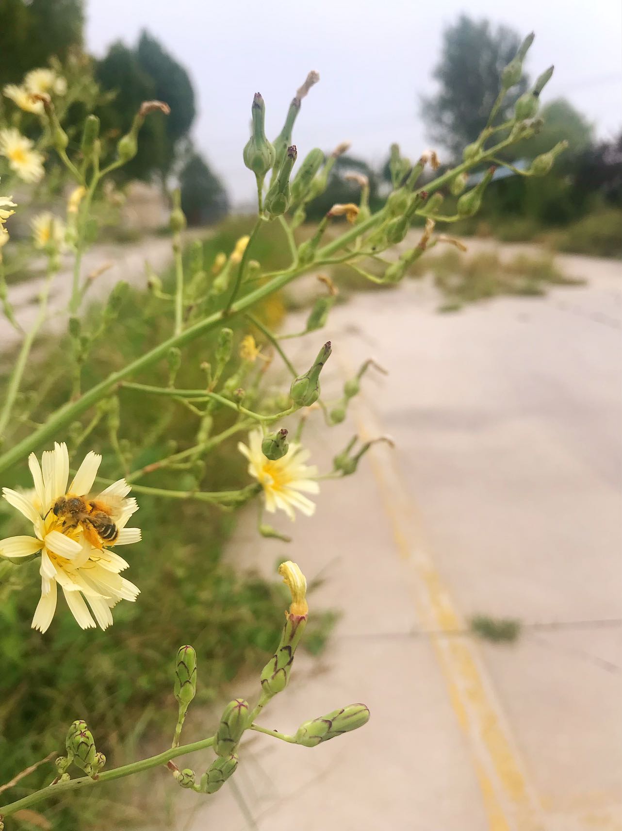 99BA4AFF-1B63-4ED7-880D-606671C0F17B.jpeg
