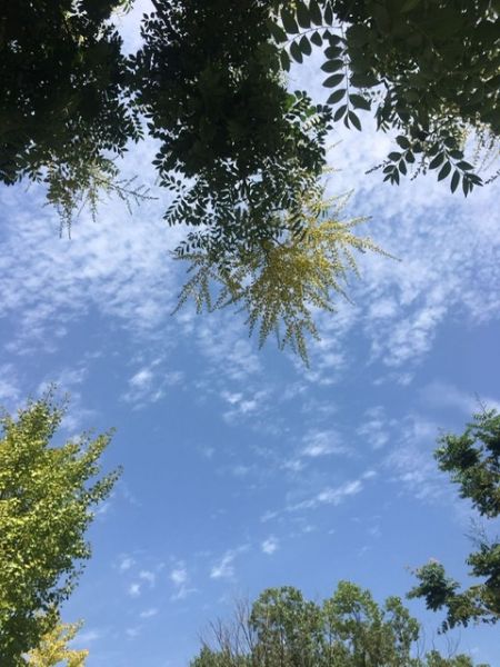 160528zw21rxcwopk1v7pk.jpeg.thumb.jpg