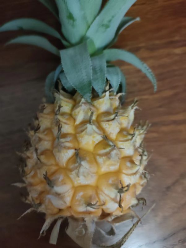 成熟的凤梨.jpg