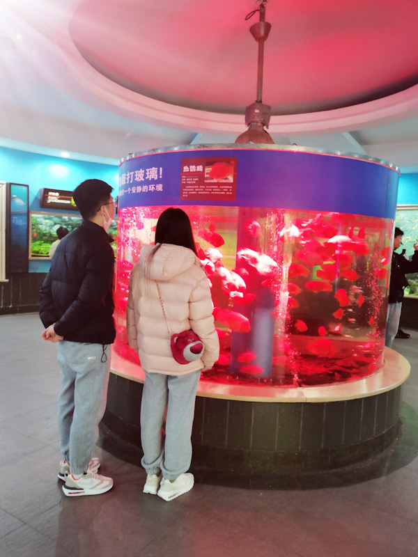 IMG_20231228_185337.jpg