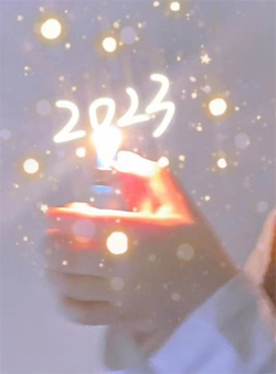 445.jpg