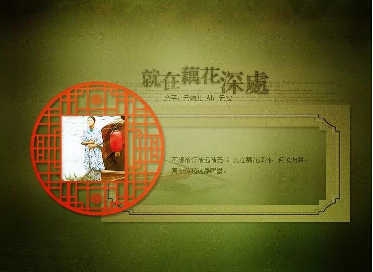 藕花3.jpg