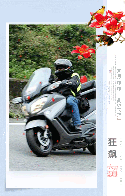 狂飙签名木棉花.gif