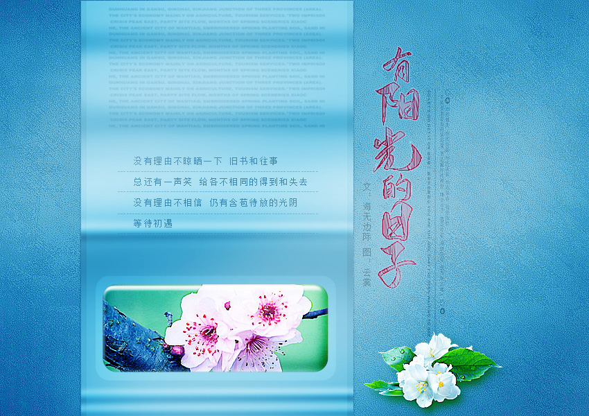 阳光2.jpg