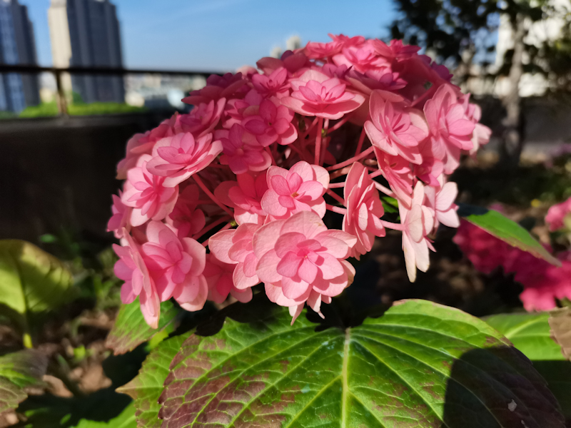 IMG_20240424_075439.jpg