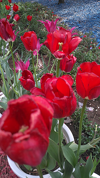 IMG_20240504_145504_副本.jpg