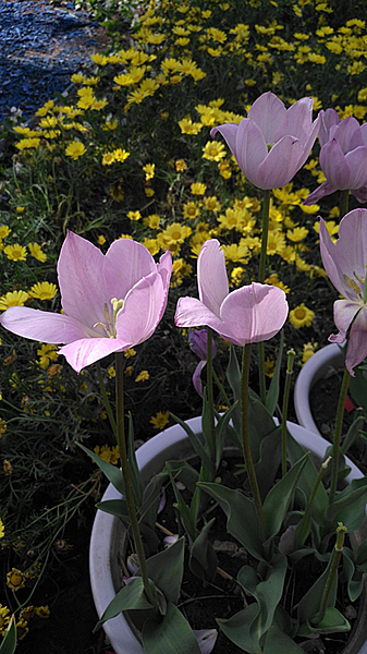 IMG_20240504_145420_副本.jpg