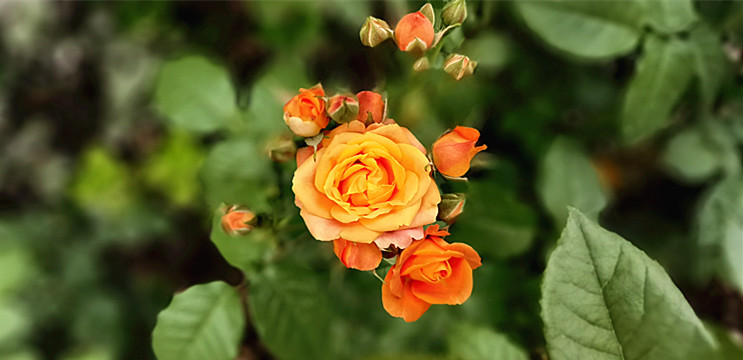 IMG_20240503_174640.jpg