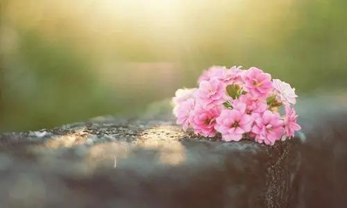 u=2936135315,3867168840&fm=253&fmt=auto&app=138&f=JPEG.webp.jpg