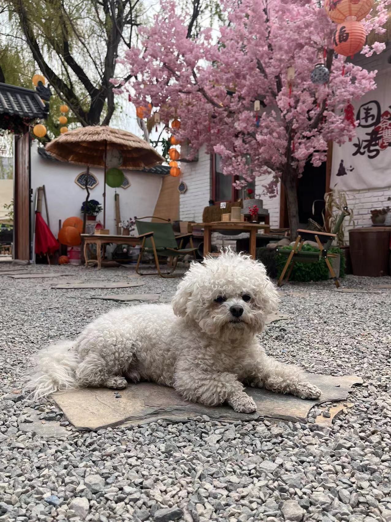 微信图片_20240507211504.jpg