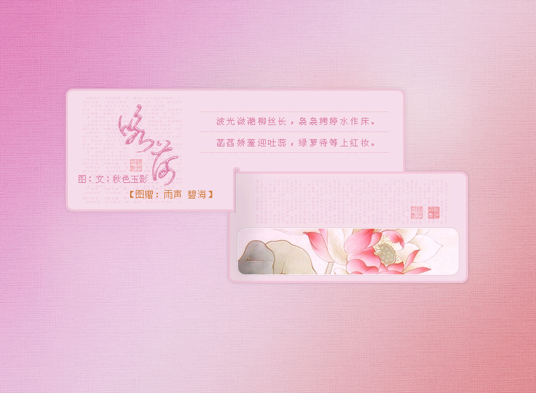 粉荷1.jpg