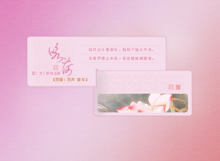 粉荷3.jpg