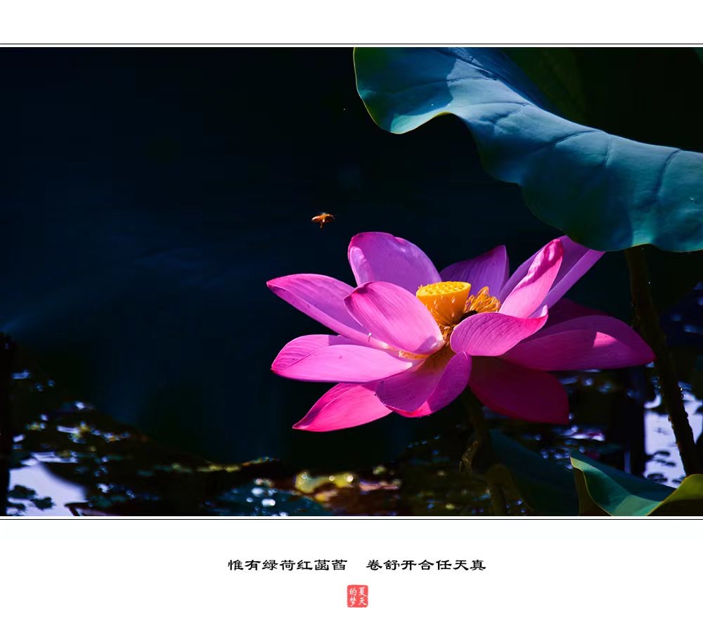 FFBCD754-A6CA-4BD0-BBC6-F6E8D9BD6CE6.jpeg