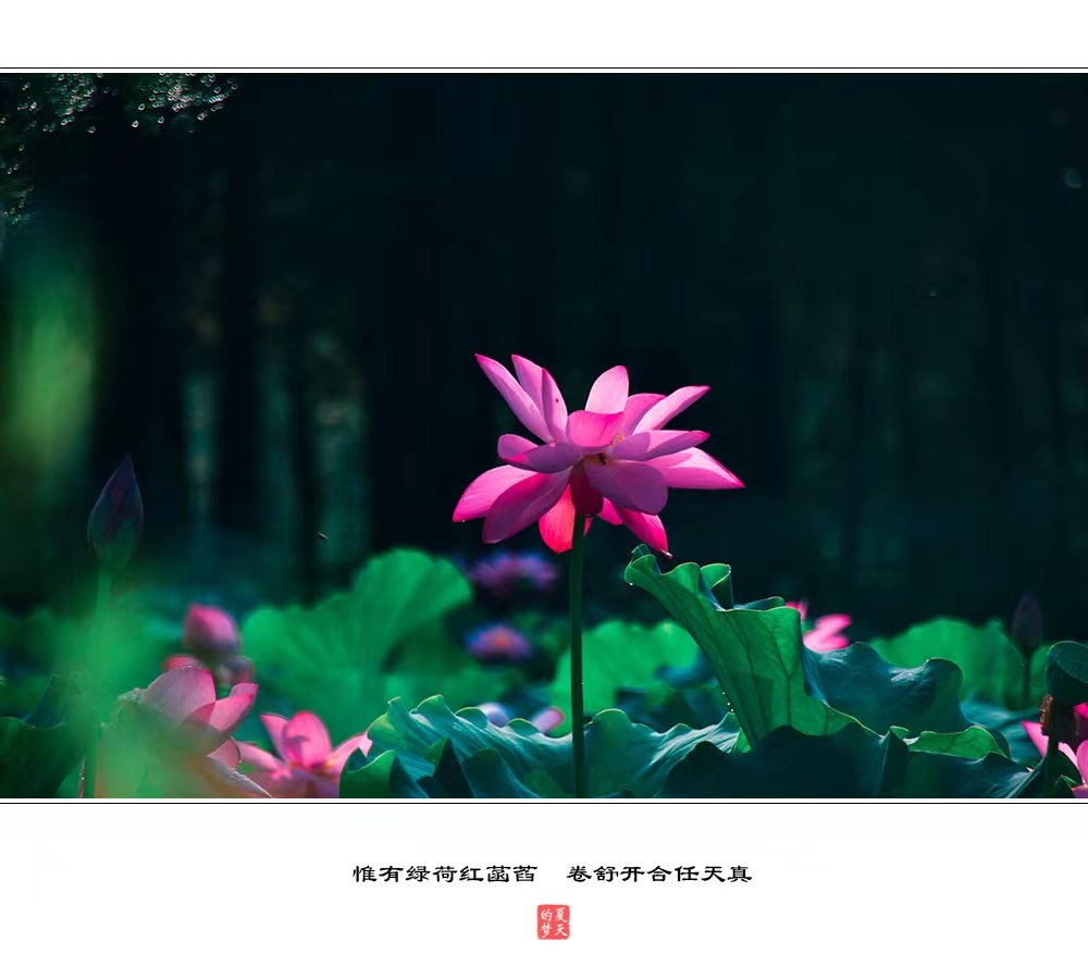 ED1B44A4-AE06-4547-8239-3A22651CAED9.jpeg