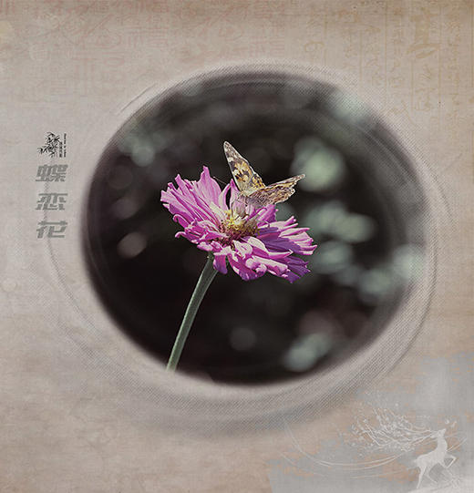 4 拷贝.jpg