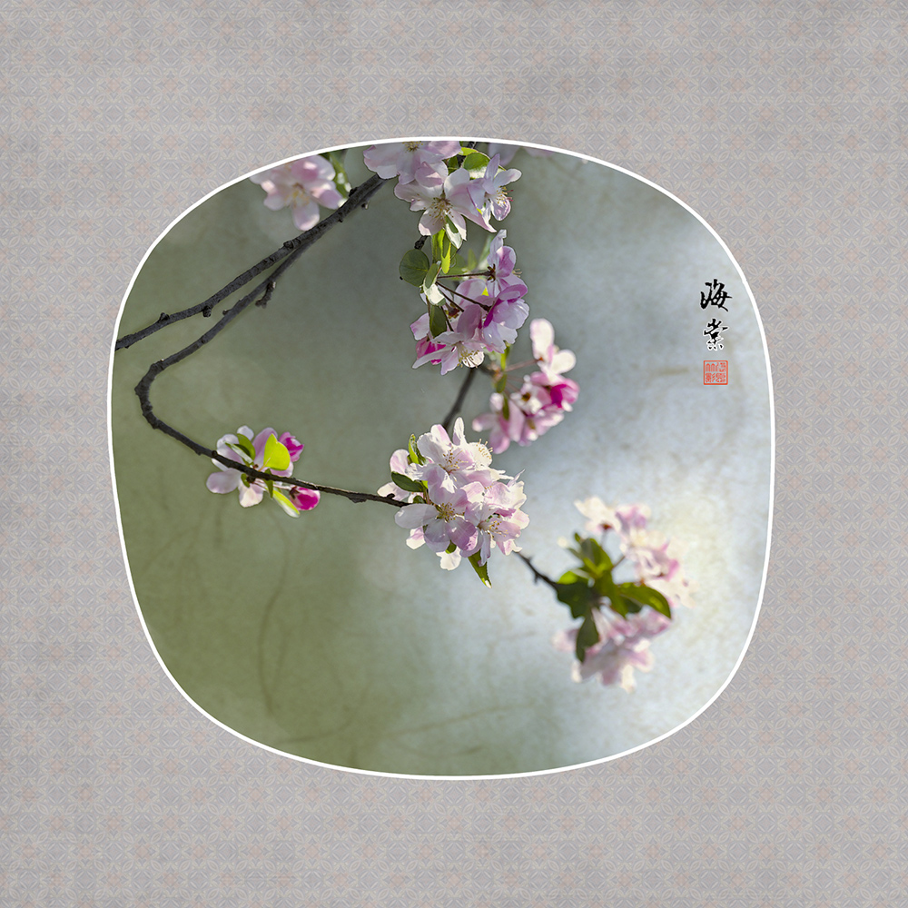 海棠团扇6.jpg