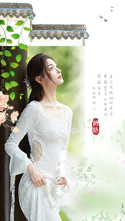 栖梧2.jpg