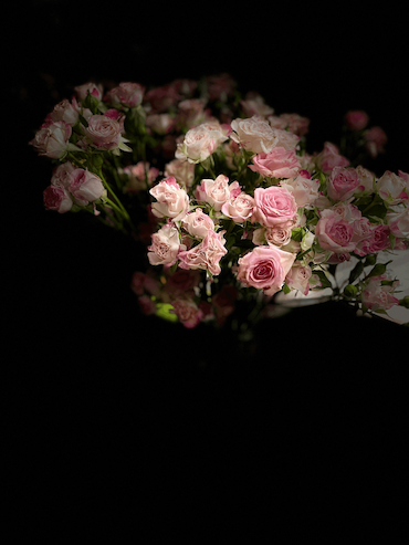 90B139D7-0BA7-4473-B70E-B476E24F21CA.png