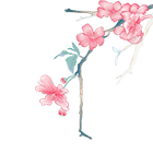 153814cj1nnc8kmj8qnllr.gif