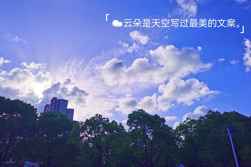 MEITU_20240724_211212399.jpg