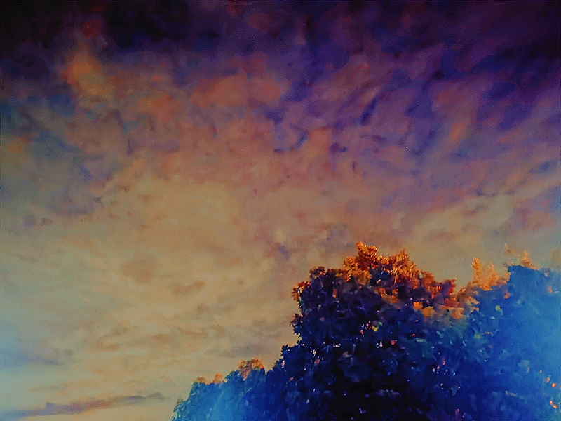 MEITU_20240727_222003339.jpg