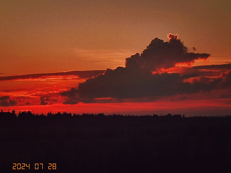 MEITU_20240729_213356446.jpg