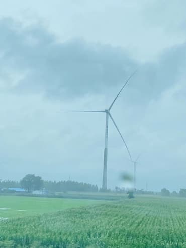 4360D8DC-3FEF-4D47-AA1E-2E591363ECD4.jpeg
