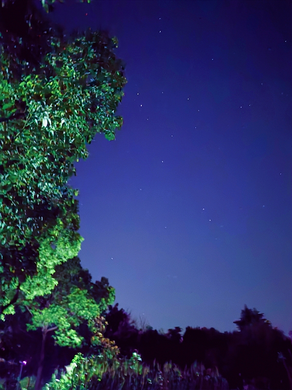 MEITU_20240801_205047183.jpg