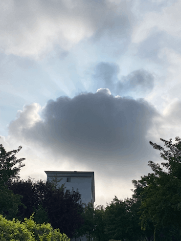 36AC8381-D4E8-4B2A-A14F-B753E096A7D2.png