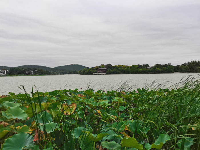 IMG_20240906_071516.jpg