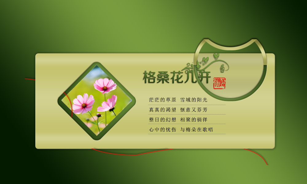 格桑花儿开3.jpg