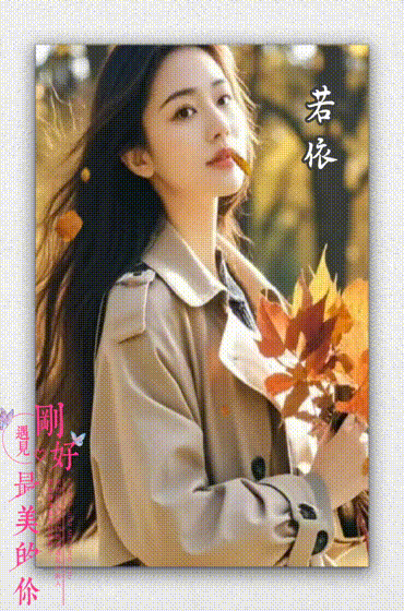2ae78f4b6605f304.gif