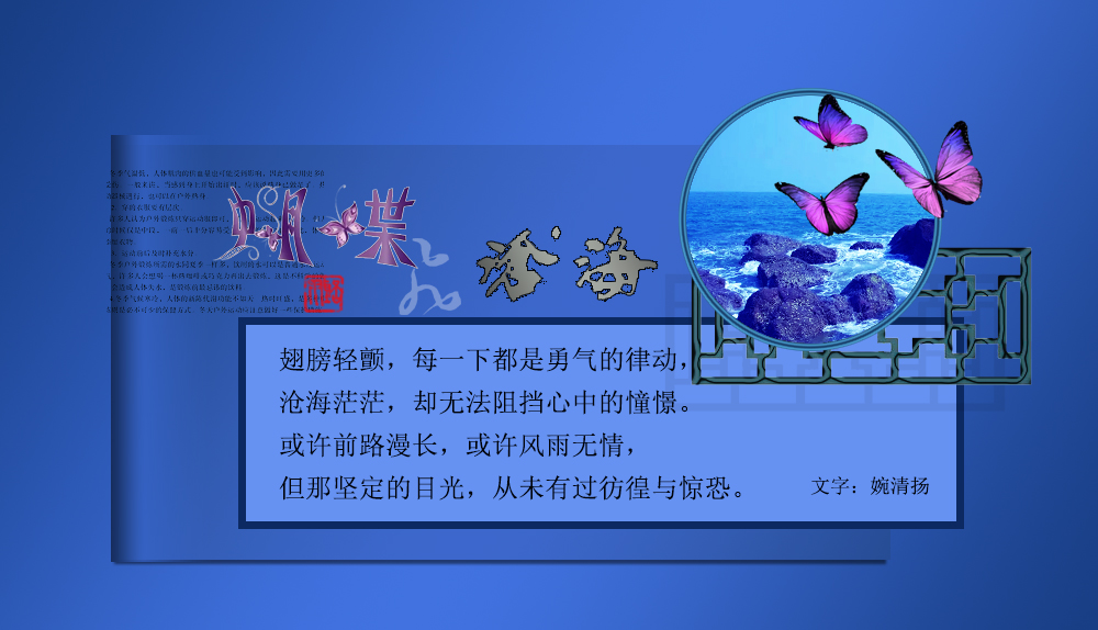 蝴蝶飞沧海2.jpg